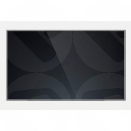 15.6 inch OLED QHD GLOSS IPS 120HZ SCREEN 40 PIN CONNECTOR WITHOUT BRACKETS - COMPATIBLE WITH ATNA56AC02-1 (L101-OLED)